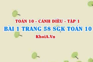 Bài 1 trang 58 SGK Toán 10 tập 1 Cánh Diều